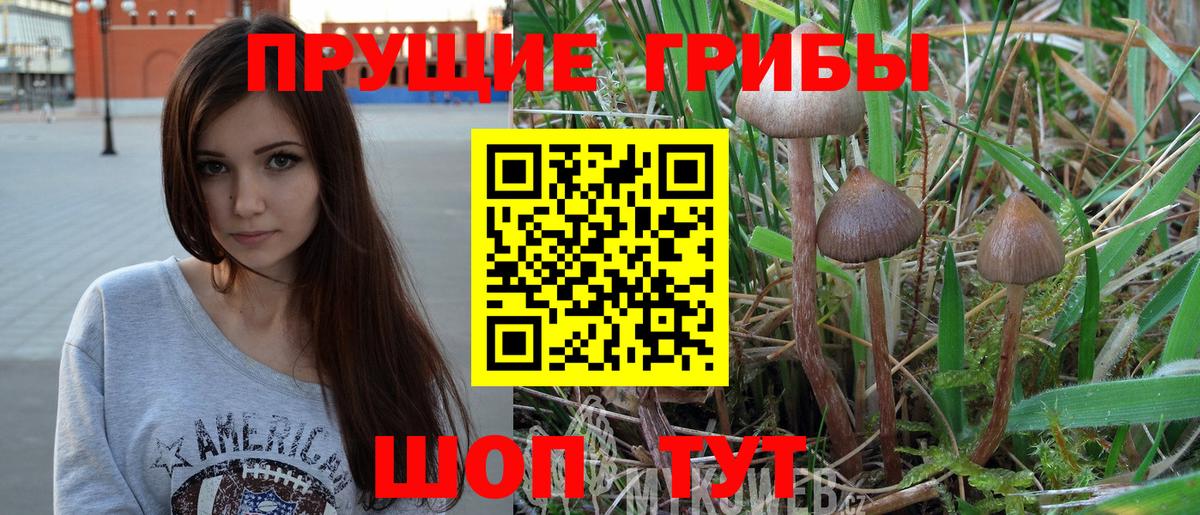 Галлюциногенные грибы GOLDEN TEACHER Уссурийск