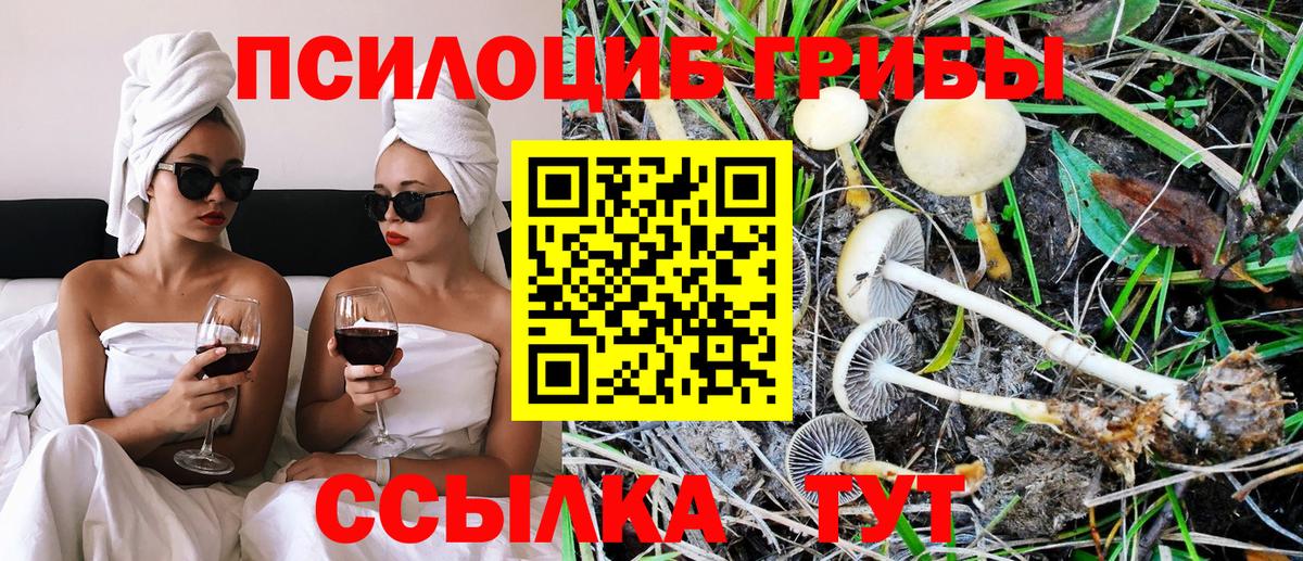 Галлюциногенные грибы Psilocybe  Вход с VPN  Уссурийск 